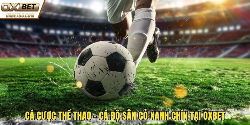 ca-cuoc-the-thao