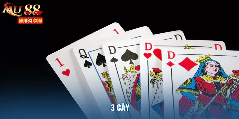 3-cay